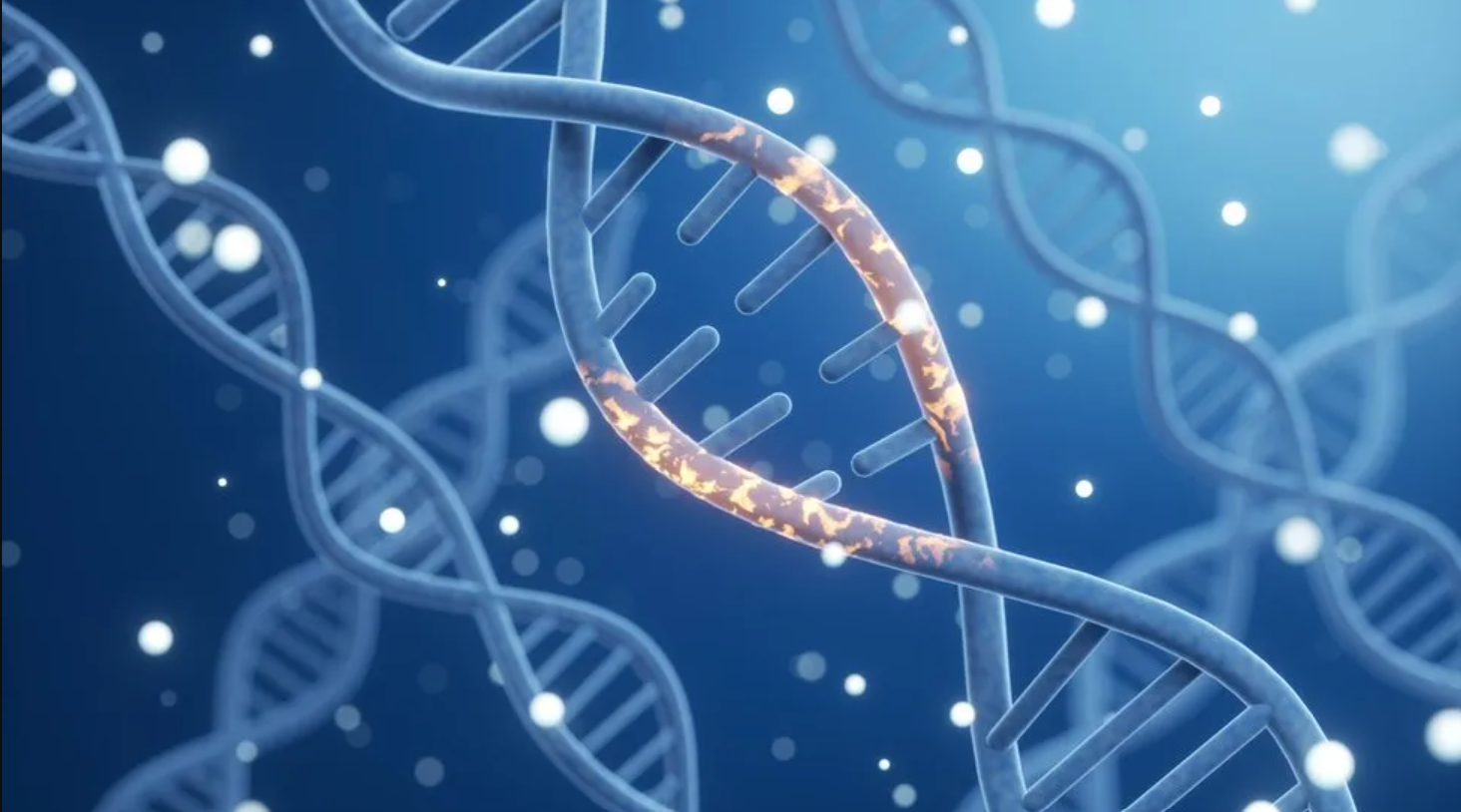 Nhs Gene News Image
