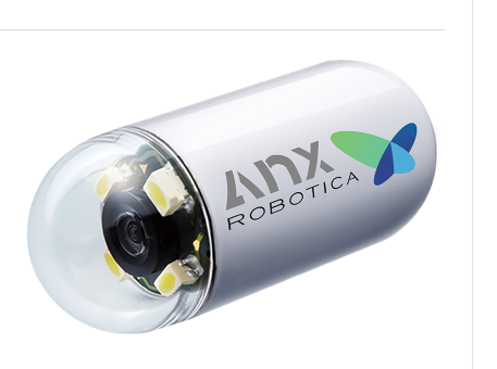 Video Capsule