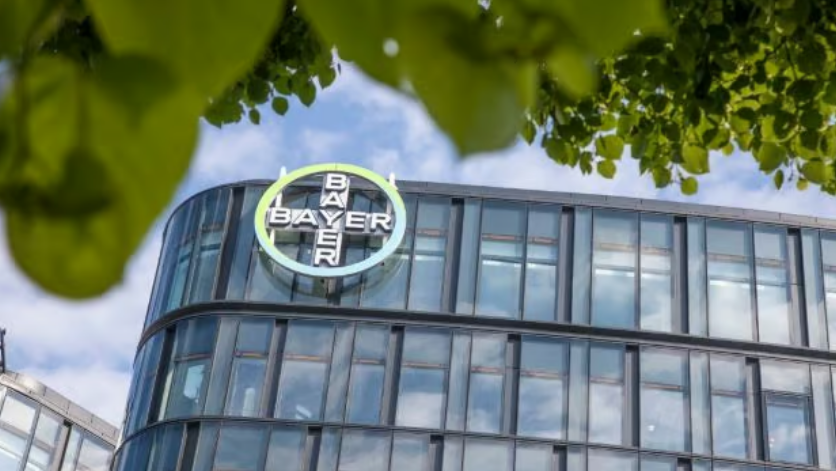 Bayer